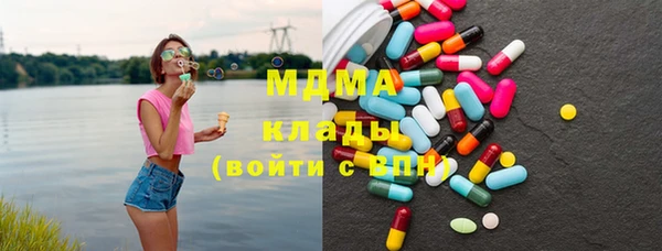 индика Гусев