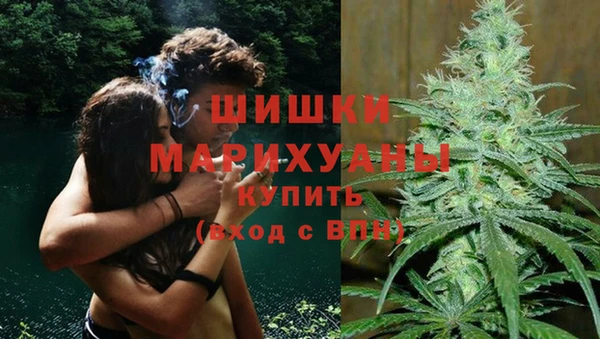 альфа пвп Горно-Алтайск