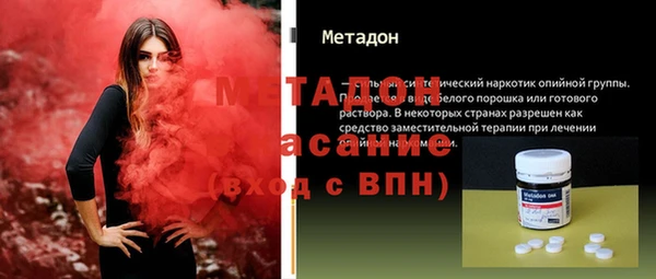 индика Гусев