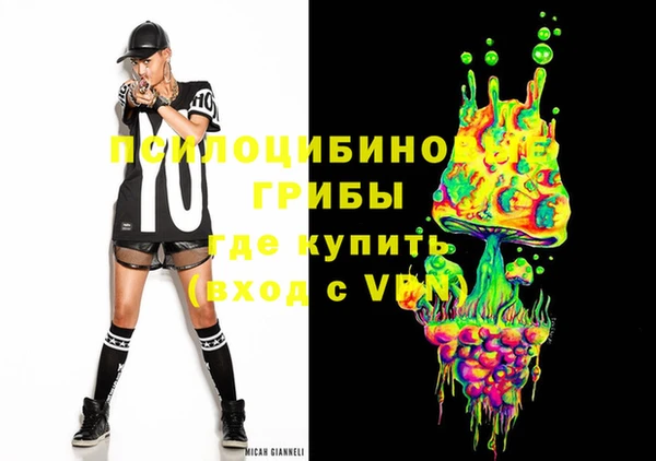 тгк Горняк