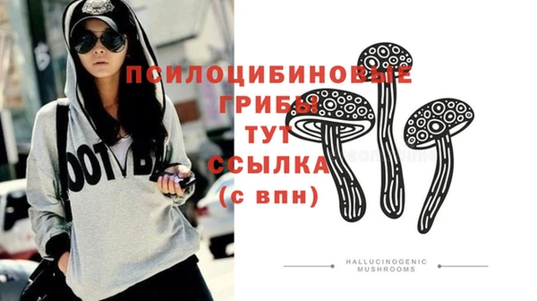 тгк Горняк