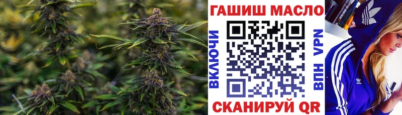 Купить закладки  Тара  Дистиллят ТГК гашишное масло 