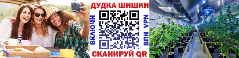 Бошки Шишки сатива  Купить где  Тара 
